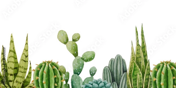 Obraz Banner cacti and succulents. Watercolor illustration. White background. For design, backgrounds