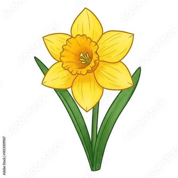 Obraz yellow daffodil flower