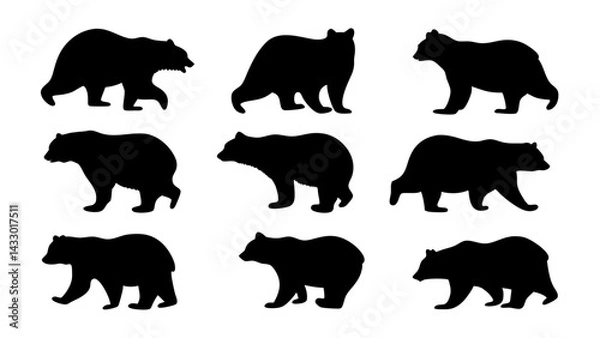 Fototapeta set of bear silhouette vector on tranparent background