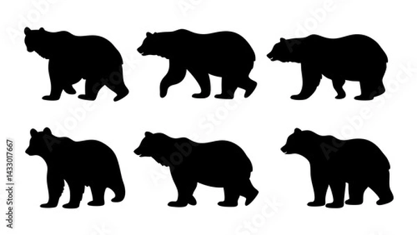 Fototapeta set of bear silhouette vector on tranparent background