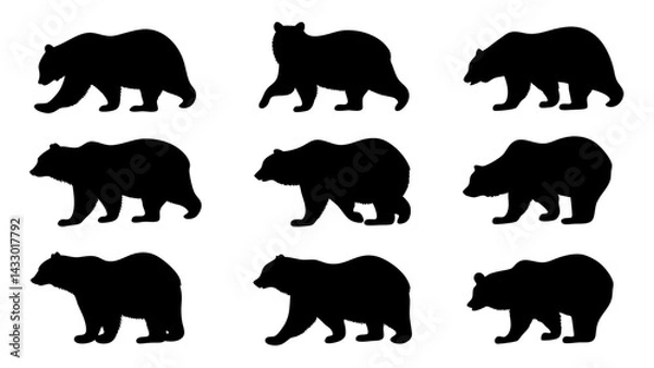 Fototapeta set of bear silhouette vector on tranparent background