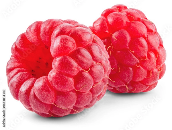 Fototapeta Raspberry isolated png. Raspberries on transparent background. Whole two raspberries with transparent shadow no background. Transparent png. Full depth of field.