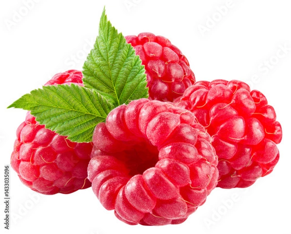 Fototapeta Raspberry isolated png. Raspberries with leaves on transparent background. Whole four raspberries no background. Transparent png. Full depth of field.