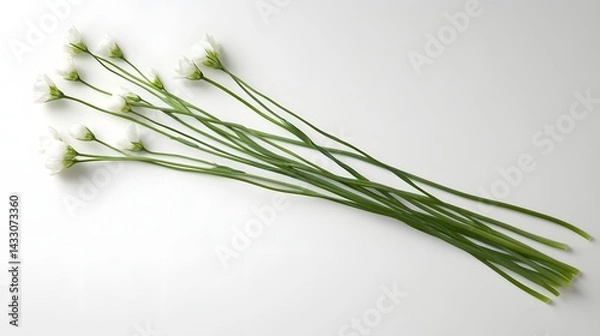 Obraz 8. A simple bouquet of minimalist flowers with long, slender stems and delicate blooms, carefully arranged on a plain white surface to emphasize the elegance of their forms