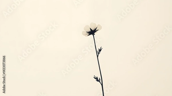 Fototapeta 50. A single minimalist wildflower with small, rounded petals and a slender stem, positioned asymmetrically on a light background to create a modern, uncluttered design