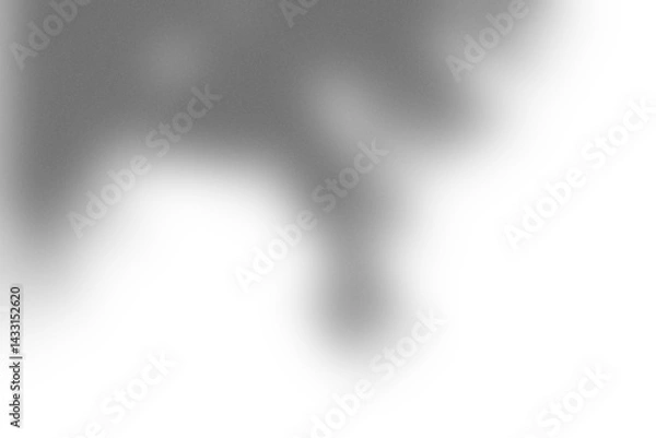 Fototapeta Branding Shadow Overlay