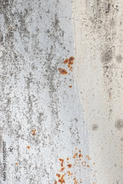 Fototapeta Painted old metal surface with rust appearing. The texture of painted metal.