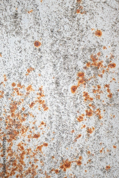 Fototapeta Painted old metal surface with rust appearing. The texture of painted metal.