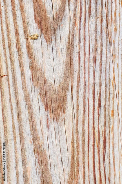 Fototapeta The texture of an aged wooden board.