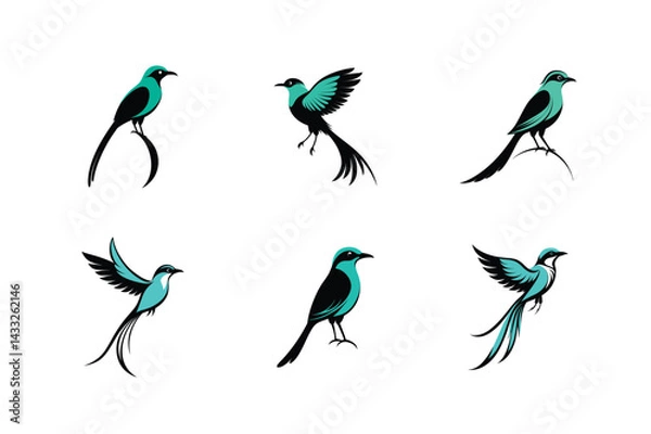 Obraz Turquoise-browed Motmot bird vector silhouette illustration