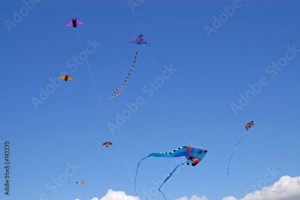 Obraz kites 6761