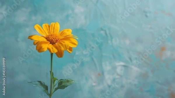 Fototapeta bright yellow flower in full bloom against a textured turquoise background, with plenty of copy space