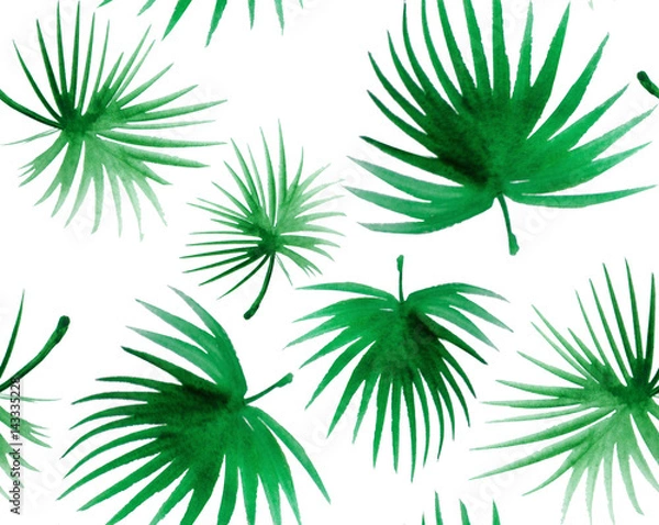Obraz palm leaves green