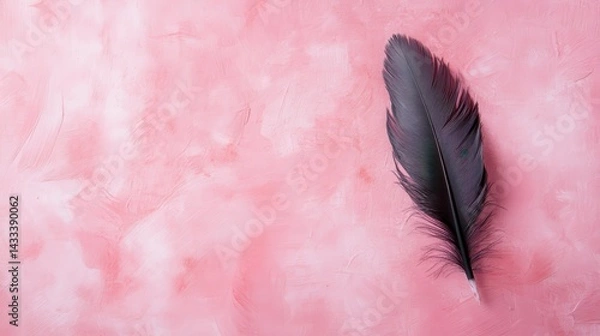 Fototapeta Single black feather on pink textured background.