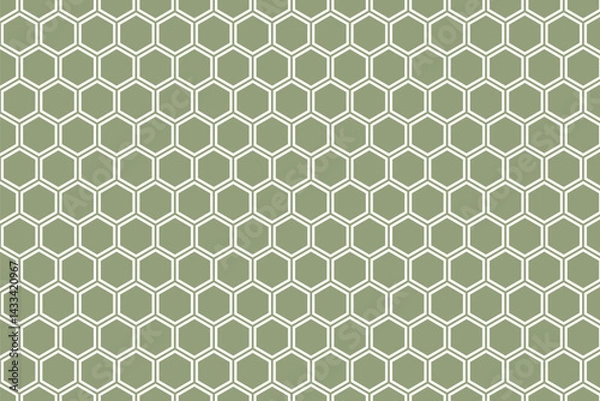 Obraz simple abstract white color polygon honeycomb pattern on ancient color background honeycomb hexagon grid