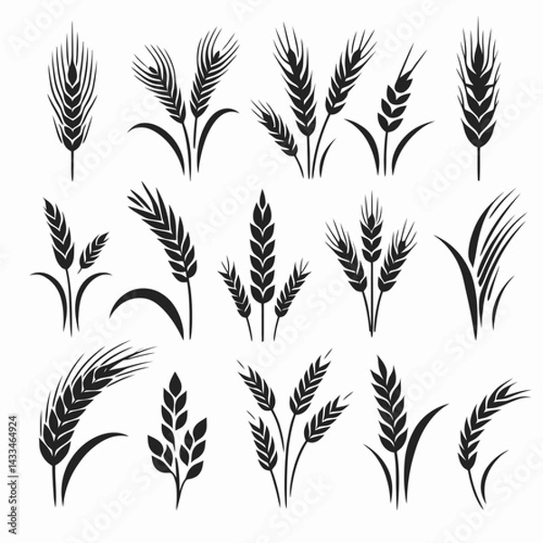Fototapeta  very simple flat and single minimalist Wheat Silhouettes in black on a white background 