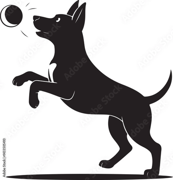 Fototapeta Silhouette of a Dog Catching a Ball in Mid-Air