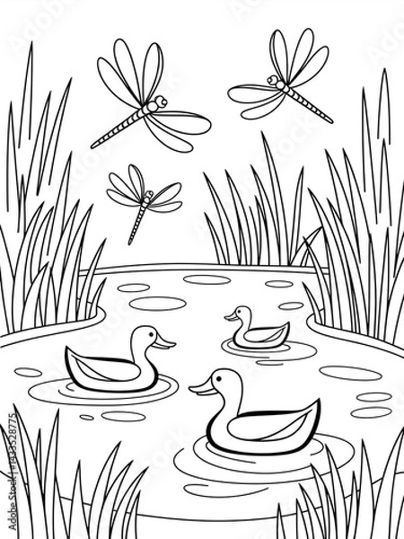 Fototapeta ducks in a pond black and white coloring page 