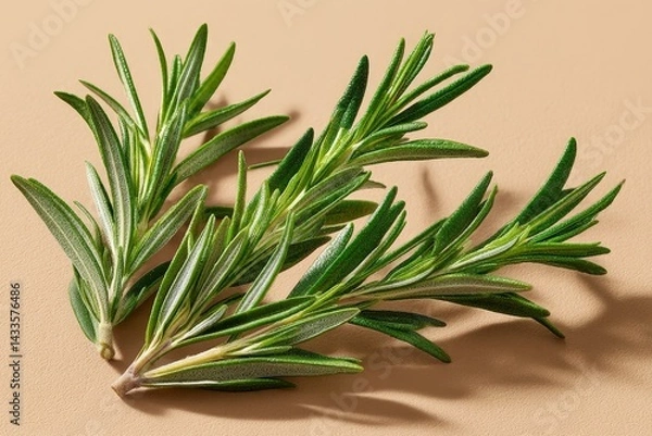 Fototapeta Fresh rosemary sprigs with vibrant green leaves, ideal for culinary use, enhancing flavors in dishes and providing aromatic scents for home cooking.