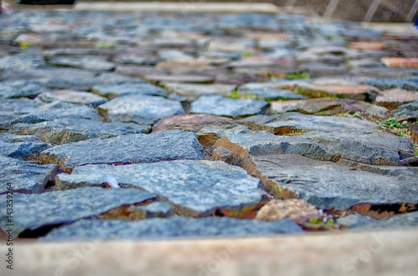 Fototapeta Stones in pavement