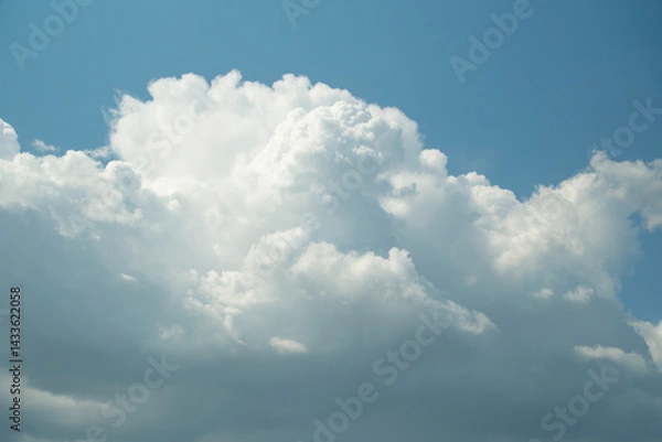 Fototapeta Fluffy white cumulus clouds drift across a clear, bright blue sky on a sunny day