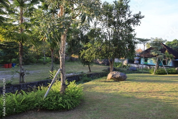 Fototapeta Lush green park with a house in the background. The park is filled with trees and grass, and there is a large rock in the middle of the grass