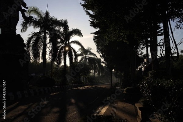 Fototapeta Street with palm trees and a statue in the background. The street is empty and the sun is setting