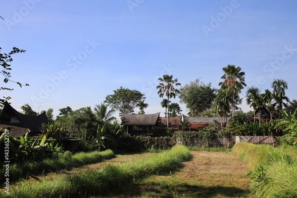 Fototapeta Lush green field with palm trees in the background. The scene is peaceful and serene. The houses in the background are small and traditional, giving the impression of a rural or tropical setting