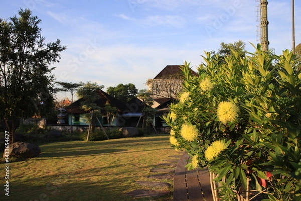 Fototapeta Lush green garden with a house in the background. The house is surrounded by trees and has a large stone wall. The garden is well-maintained and has a peaceful, serene atmosphere