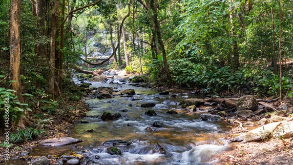 Fototapeta A flowing forest stream with lush surroundings