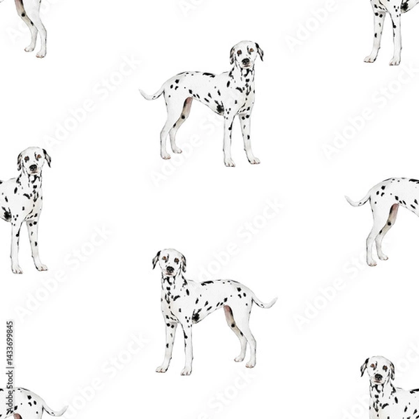 Fototapeta Dalmatian dog seamless pattern isolated. Hand-drawn watercolor dalmation repeated pattern for fabric, packaging paper design
