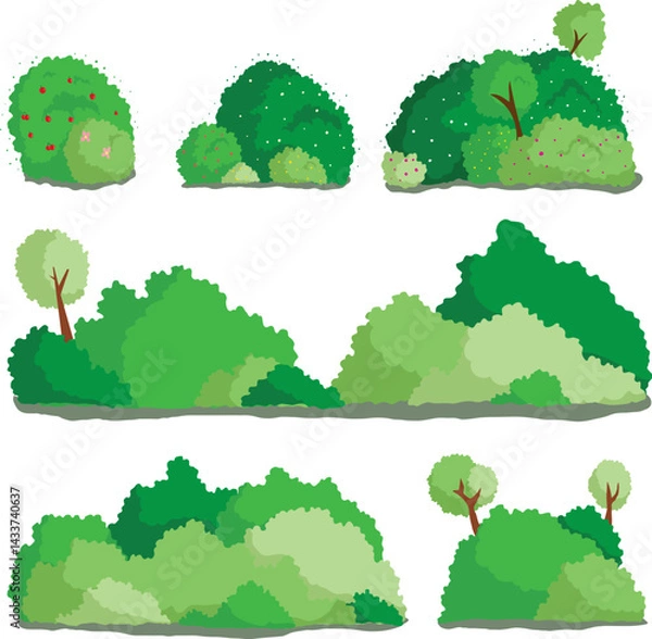 Fototapeta  Collection of lush green bushes and shrubs for landscaping 