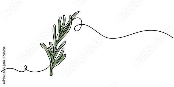 Obraz Continuous one line drawing of rosemary. Modern style vector illustration on isolated background, Rosemary simple vector sketch drawing. One continuous line art drawing illustration for label design.