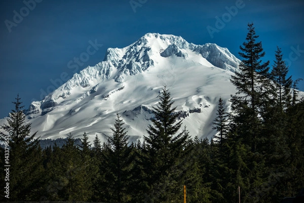 Obraz Mountain through the trees
