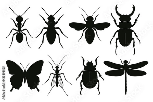 Fototapeta Collection of insect silhouettes showcasing various species for design and educational purposes