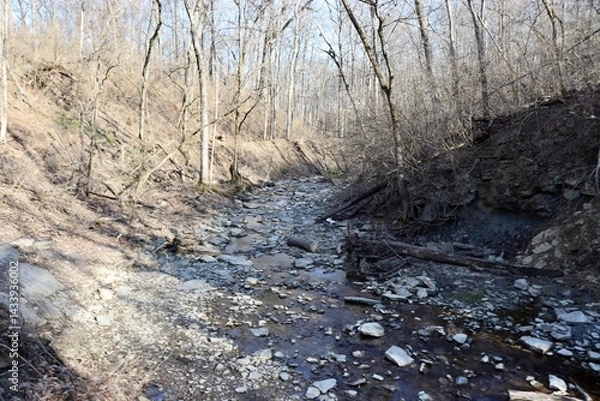 Obraz The peaceful creek in the winter forest on.a sunny day.