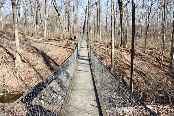 Obraz A view on the swinging bridge in the forest.