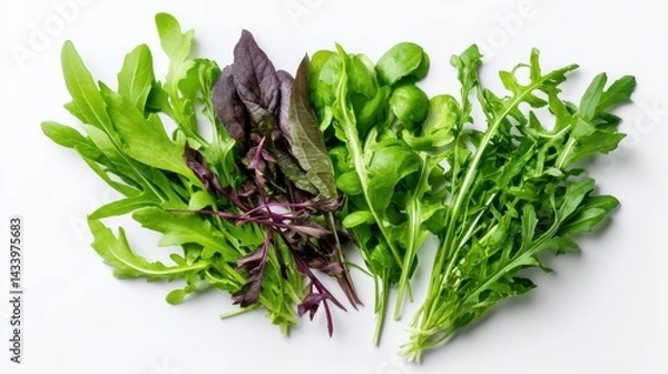 Fototapeta Fresh Assortment of Organic Green Leafy Herbs and Salad Greens for Healthy Cooking and Salads