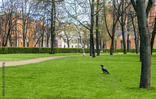 Obraz a crow sits on the lawn in the park