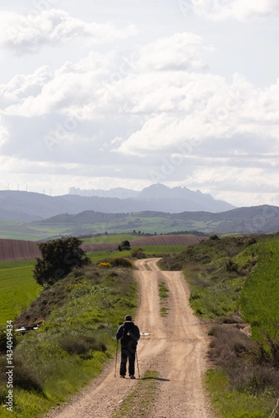 Fototapeta Solo hiker walking along a rural trail with trekking poles, facing distant mountains and wind turbines under a cloudy sky. A peaceful moment of adventure in nature.