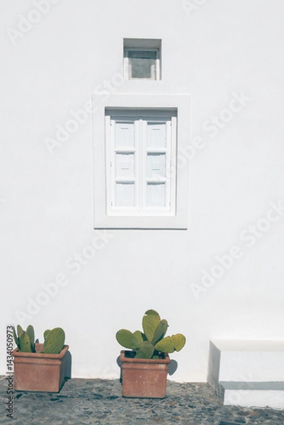 Fototapeta White cycladic architecture in Santorini island, Greece. Ceramic pots with green cactuses under the window