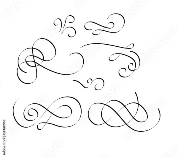 Obraz flourish swirl is vintage vector elements