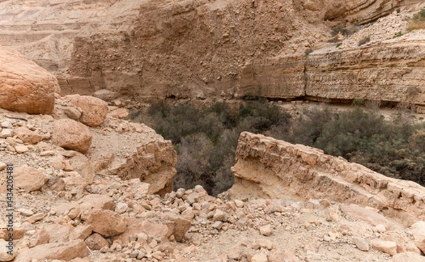Fototapeta The unrivaled  splendor of nature in Arugot Stream Nature Reserve near the Dead Sea in southern Israel