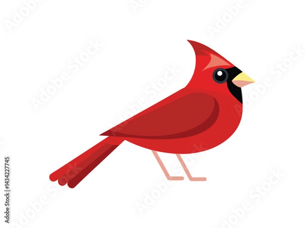 Obraz red cardinal bird in side profile vector design