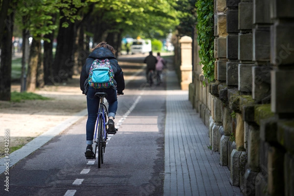 Obraz Ciclistas en el carril bici