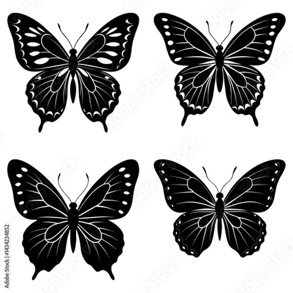 Fototapeta Butterfly Silhouette vector illustration