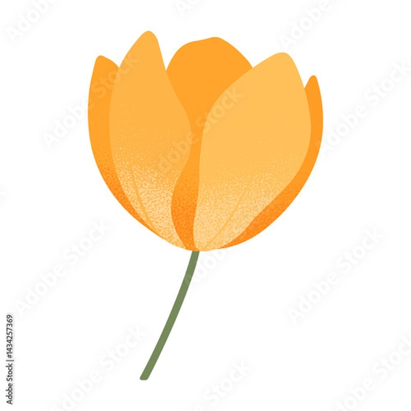 Fototapeta Spring yellow tulip.Isolated element for flower emblem design.Botany logo template.Floral illustration for mother's day,women's day,easter prints,flyers,banners,greetings,branding,covers