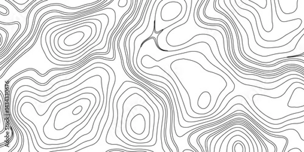 Obraz Generate a high-contrast black and white topographic map featuring detailed contour lines. The map should display various elevations using closely spaced, Topography and geography map grid abstract.