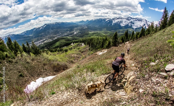Obraz mountain biking