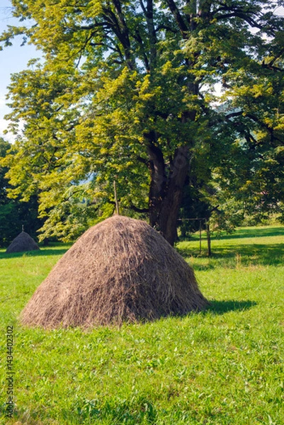 Fototapeta Haystack in field with green grass on a large tree  background